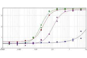 ELISA results of purified Goat Anti-Rabbit IgG F(c) Antibody (Min x Human serum proteins) tested against purified Rabbit IgG F(c) (Red Line), Rabbit IgG (Green Line), and Human IgG (Blue Line). (Chèvre anti-Lapin IgG (Fc Region) Anticorps - Preadsorbed)