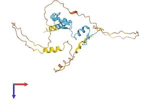 AlphaFold protein structure predicition of Mouse Recombinant Osr1 Protein, UniprotID Q9WVG7