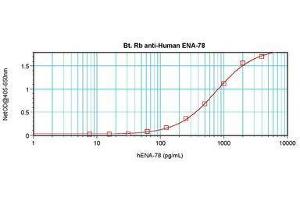 anti-Chemokine (C-X-C Motif) Ligand 5 (CXCL5) antibody (Biotin)