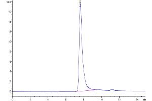 The purity of Mouse PTN is greater than 95 % as determined by SEC-HPLC.