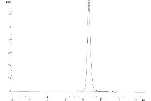 The purity of Mouse IL-1R3 is greater than 95 % as determined by SEC-HPLC.