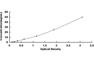 DnaJ heat shock protein family (Hsp40) member C13 (DNAJC13) ELISA Kit