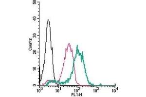 Cell surface detection of TRPV4 in live intact human THP-1 monocytic leukemia cells: (black line) Cells.