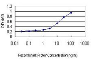 Detection limit for recombinant GST tagged IQGAP3 is approximately 0. (IQGAP3 anticorps  (AA 602-698))