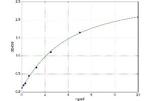 RAP1A, Member of RAS Oncogene Family (RAP1A) ELISA Kit