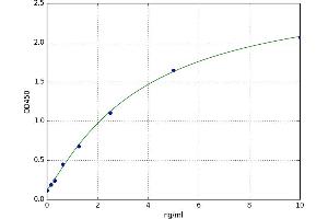 A typical standard curve (RAP1A Kit ELISA)
