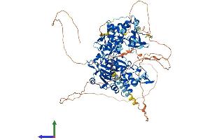 AlphaFold protein structure predicition of Human Recombinant DNMT3A Protein, UniprotID Q9Y6K1