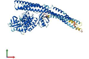 AlphaFold protein structure predicition of Mouse Recombinant Tbk1 Protein, UniprotID Q9WUN2