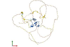 AlphaFold protein structure predicition of Mouse Recombinant Pygo1 Protein, UniprotID Q9D0P5