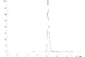 The purity of Mouse SEMA7A is greater than 95 % as determined by SEC-HPLC.