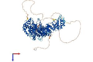 AlphaFold protein structure predicition of Mouse Recombinant Ints3 Protein, UniprotID Q7TPD0