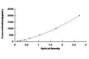 Fast Skeletal Troponin C (TNNC2) ELISA Kit