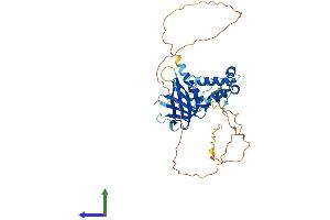 AlphaFold protein structure predicition of Human Recombinant SPRED2 Protein, UniprotID Q7Z698
