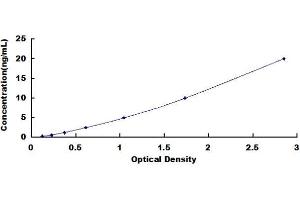 Typical standard curve (STAT5A Kit ELISA)