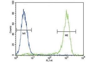 AKT antibody flow cytometric analysis of MCF-7 cells (right histogram) compared to a negative control (left histogram).