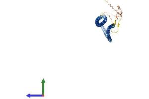 AlphaFold protein structure predicition of Mouse Recombinant Krt19 Protein, UniprotID P19001