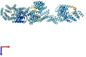 AlphaFold protein structure predicition of Mouse Recombinant Ttc21a Protein, UniprotID Q8C0S4