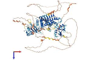 AlphaFold protein structure predicition of Human Recombinant RIN3 Protein, UniprotID Q8TB24