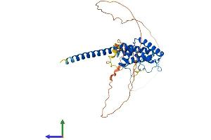AlphaFold protein structure predicition of Mouse Recombinant Spatc1l Protein, UniprotID Q9D9W0