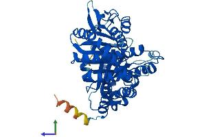 AlphaFold protein structure predicition of Mouse Recombinant Tubb4a Protein, UniprotID Q9D6F9