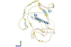 AlphaFold protein structure predicition of Human Recombinant PRCC Protein, UniprotID Q92733