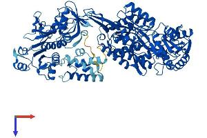 AlphaFold protein structure predicition of Human Recombinant ALDH1L1 Protein, UniprotID O75891