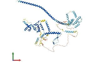 AlphaFold protein structure predicition of Mouse Recombinant Cdc5l Protein, UniprotID Q6A068