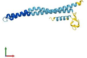 AlphaFold protein structure predicition of Human Recombinant GET1 Protein, UniprotID O00258