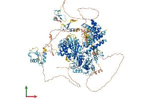 AlphaFold protein structure predicition of Human Recombinant ZMYM6 Protein, UniprotID O95789
