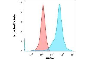 Flow Cytometric Analysis of HEK293 cells using Neurofilament Monoclonal Antibody (RT-97 + NR-4) followed by goat anti-Mouse IgG-CF488 (Blue); Isotype control (Red). (NEFH & NEFL anticorps)
