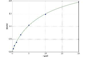 Protein Kinase A, alpha (PRKACA) ELISA Kit
