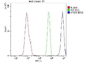 Flow Cytometry analysis of U937 cells using anti-APEX1 antibody (ABIN3043785).