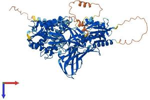 AlphaFold protein structure predicition of Human Recombinant PRMT9 Protein, UniprotID Q6P2P2