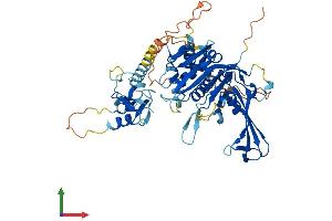AlphaFold protein structure predicition of Human Recombinant USP3 Protein, UniprotID Q9Y6I4