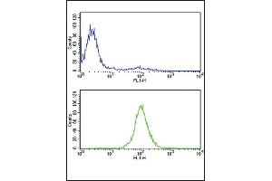 TPI1 Antibody (N-term) (ABIN389457 and ABIN2839524) flow cytometric analysis of CEM cells (bottom histogram) compared to a negative control cell (top histogram).