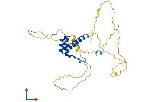 AlphaFold protein structure predicition of Mouse Recombinant Nkx2-2 Protein, UniprotID P42586