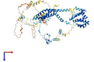 AlphaFold protein structure predicition of Human Recombinant UVSSA Protein, UniprotID Q2YD98