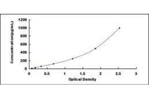 Keratin 6A (KRT6A) ELISA Kit