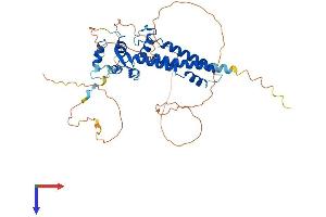 AlphaFold protein structure predicition of Human Recombinant TFAP2E Protein, UniprotID Q6VUC0