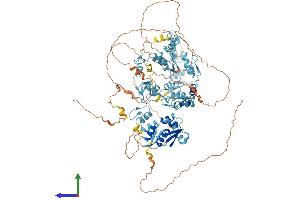 AlphaFold protein structure predicition of Human Recombinant ZBTB41 Protein, UniprotID Q5SVQ8