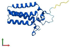 AlphaFold protein structure predicition of Mouse Recombinant Ormdl2 Protein, UniprotID Q9CQZ0