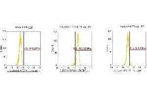 Flow Cytometry (FACS) image for anti-CNDP Dipeptidase 2 (Metallopeptidase M20 Family) (CNDP2) (AA 1-475) antibody (APC) (ABIN5565179)