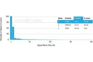 Analysis of Protein Array containing more than 19,000 full-length human proteins using CD3e Monospecific Recombinant Mouse Monoclonal Antibody (rC3e/1931).