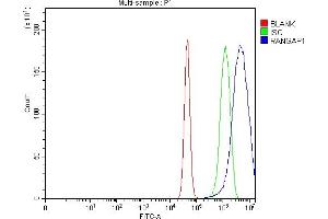 Flow Cytometry analysis of U87 cells using anti-RANGAP1 antibody (ABIN7600225).