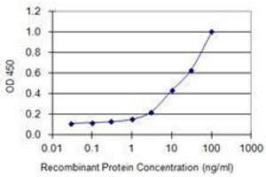 Detection limit for recombinant GST tagged C10orf63 is 0. (ENKUR anticorps  (AA 1-256))