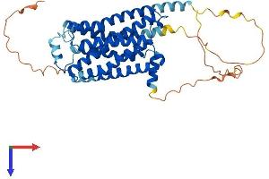 AlphaFold protein structure predicition of Mouse Recombinant Adrb3 Protein, UniprotID P25962