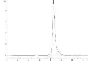 The purity of Human M-CSF is greater than 95 % as determined by SEC-HPLC. (M-CSF/CSF1 Protein (AA 33-190))