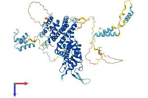 AlphaFold protein structure predicition of Mouse Recombinant Ascc2 Protein, UniprotID Q91WR3