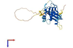 AlphaFold protein structure predicition of Human Recombinant RAB26 Protein, UniprotID Q9ULW5