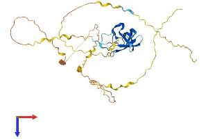 AlphaFold protein structure predicition of Human Recombinant YBX2 Protein, UniprotID Q9Y2T7